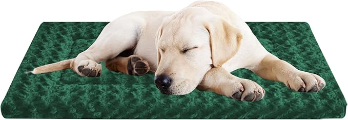 Washable Dog Bed Plush Orthopedic Outdoor Crate Mat with Non-Slip Bottom,Luxe Soft Kennel Pad for Pets,Cozy Cage Cushion & Pet Sleeping Mattress Large Sized,Medium,Small Dogs,30 x 20 inch,Green