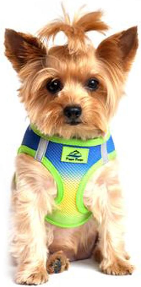 DOGGIE DESIGN American River Dog Harness Ombre Collection - Colbalt Sport