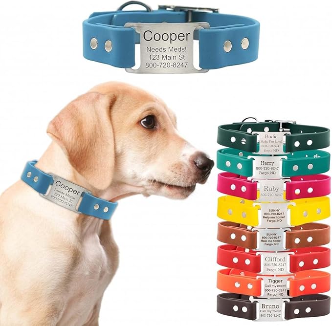 dogIDs Personalized Dog Collar – ScruffTag Custom Waterproof Biothane Dog Collar with Laser-Engraved Name, Durable & Odor-Resistant – USA Made | Tropical, 3/4 in x 14 in (Fits Neck Sizes 12-16 in)