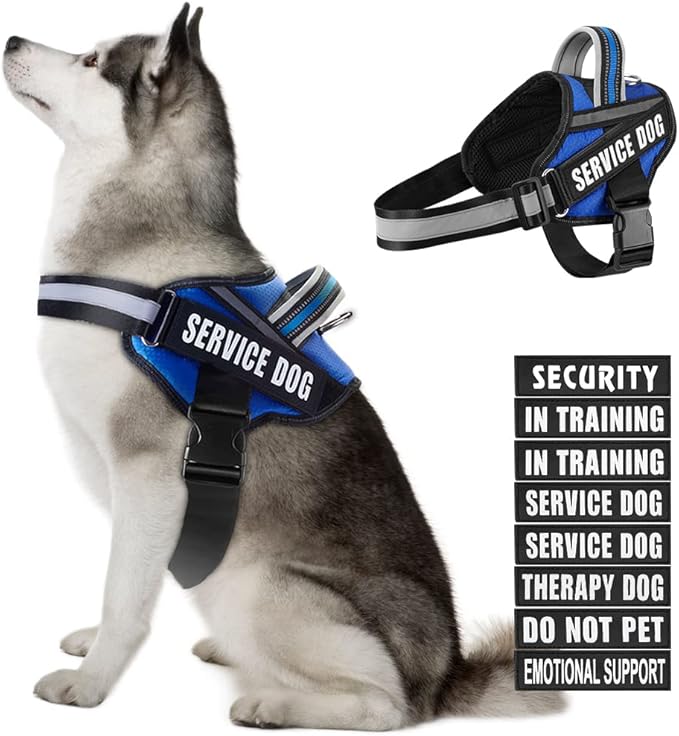 Dog Vest Harness and Patches Set, Animire in Training Service Dog Harness with 10 Dog Patches, Reflective Dog Vest with Handle for Small, Medium, Large, and Extra-Large Dogs