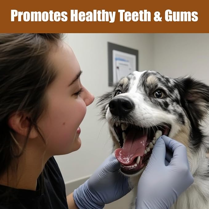 SPOT Bam-Bones Plus T Bone - Bamboo Fiber & Nylon Dog Chew Toy for Moderate to Aggressive Chewers, Non-Splintering, Long-Lasting, 7in Beef Flavor, for Adult Dogs & Teething Puppies Under 90lbs