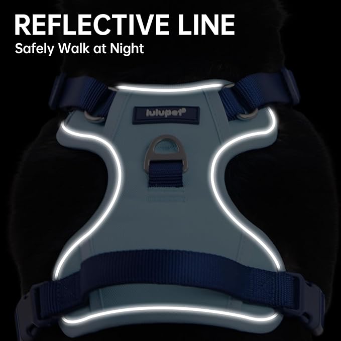 No Pull Dog Harness Leash and Collar Set, Soft Adjustable Dogs Vest Reflective and Comfortable Handle Blue Small