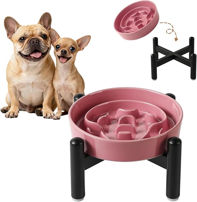 Elevated Slow Feeder Dog Bowl - Ceramic Maze Dog Food Bowl with Stainless Stand - Raised Slow Feeder for Small Breeds to Control Eating Speed - 6.3 Inch - 0.8 Cups (80g) - Pink