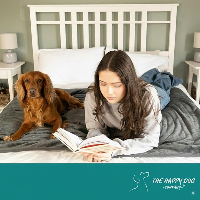 100% Waterproof Blanket for Bed - Soft Fleece Washable Waterproof Dog Blankets for Large Dogs, Pet Blankets for Bed/Couch/Dog Crate, Reversible Fluffy Furniture Protector, 60x79, Dark Gray/Gray