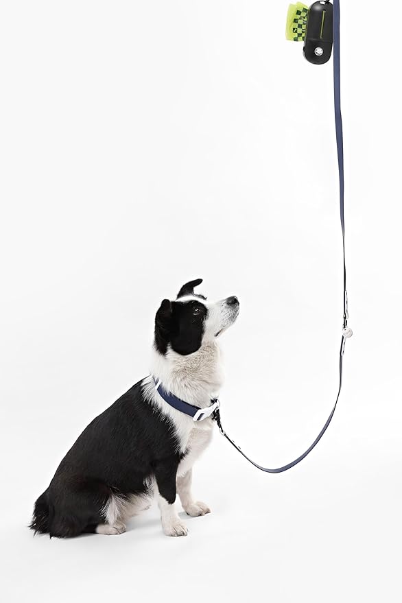 WLK1006J-5SET Luna Large 8FT Adjustable 6-in-1 Waterproof Hands-Free Leash and Collar with LED Flashlight, Bag Dispenser, and Poop Bag Holder, Highball