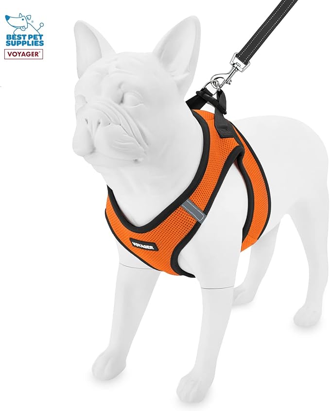 Voyager Step-in Air All Weather Mesh Harness & Reflective Dog 5 ft Leash Combo, Neoprene Handle, for Small, Medium, Large Breed Puppies by Best Pet Supplies - Leash Harness (Orange/Black Trim), M