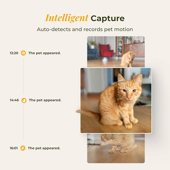 ARENTI Automatic Cat Feeder with Camera, 4L Auto Cat Food Dispenser for Cats, Smart WiFi Pet Feeder with App, 2K HD Two-Way Audio Meal Call, Dual Power, Color Night Vision, 2.4GHz/5GHz & Bluetooth