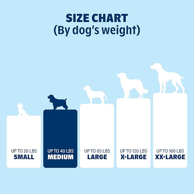 Barkbox Orthopedic Dog Bed with Memory Foam, Premium Comfort for Dogs and Puppies, Dog Beds for Joint Relief and Restful Sleep, Durable and Easy to Clean - Grey, Medium