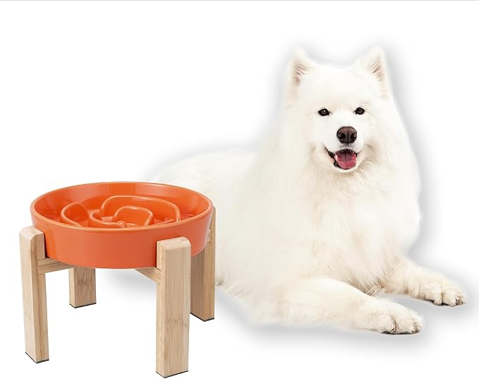 Elevated Slow Feeder Dog Bowl - Puzzle Maze Dish with Bamboo Stand - Raised Ceramic Food Bowl for Medium and Large Dogs - 8.8 Inch - Orange