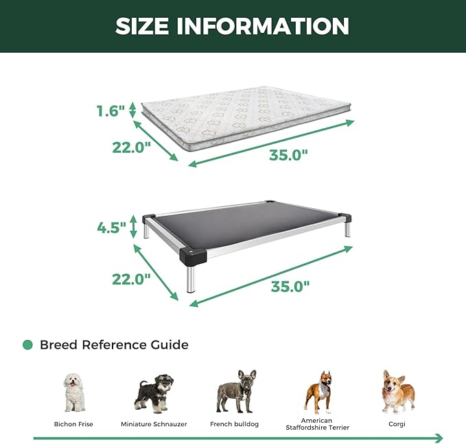 FXW TitanNest Chew-Proof Elevated Dog Bed, Raised Cot for Indoor/Outdoor/Camping Use, Durable & Washable Padded Pet Bed with Exclusive Cover for Small Dogs, 35.0" L x 22.0" W x 4.5" H, Gray