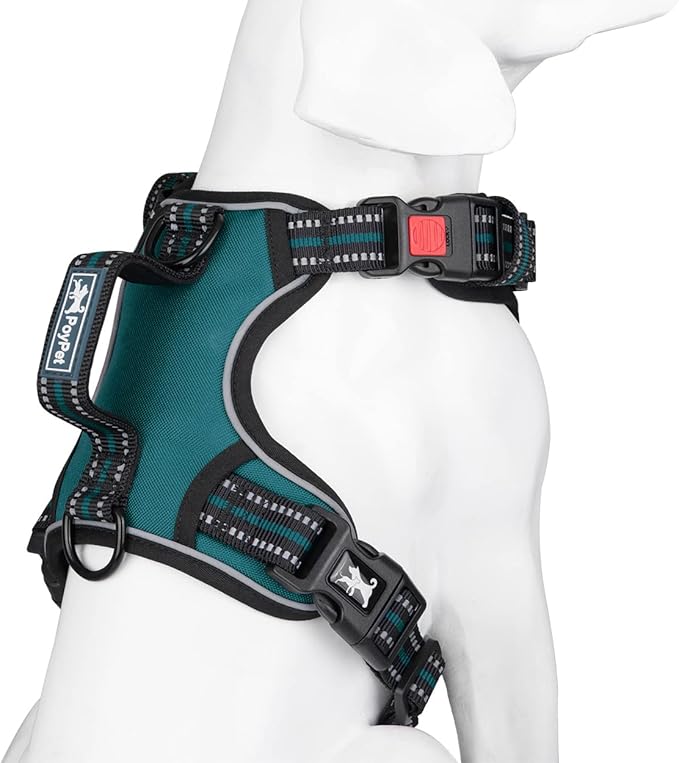 PoyPet No Pull Dog Harness, No Choke Front Clip Reflective Dog Vest with Soft Padded Vertical Handle, 3 Leash Attachments for Small Medium Large Dogs (Tumalo Teal,XL)