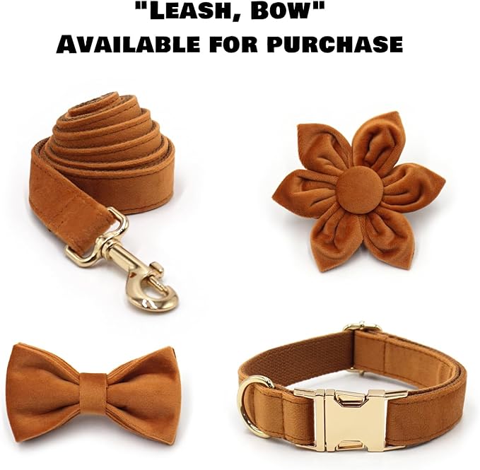 Velvet Personalized Dog Collar with Name - Customizable Dog Collar with Quick Release Metal Buckle - Leash and Bow Tie Available (Brown, M)
