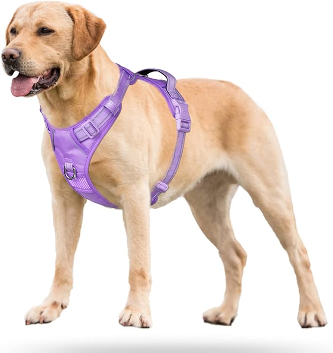 PoyPet No Pull Dog Harness, No Choke Reflective Dog Vest, Adjustable Pet Harnesses with Easy Control Padded Handle for Small Medium Large Dogs(Light Purple Matching Trim,M)