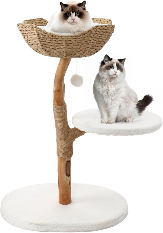 Modern Adult Cat Tree for Large cat Solid Wood Cat Tower for Indoor Cat Tall Cat Condo Cat Climbing Tower with Scratching Post Bed