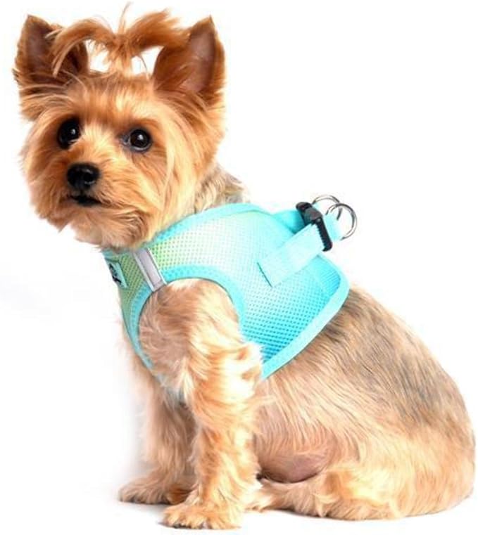 Doggie Design No Choke Dog Harness - Simple Step-in and Go Dog Vest for Small, Medium, and Large Breeds - Breathable Mesh Polyester Pet Harness - Aruba Blue - M