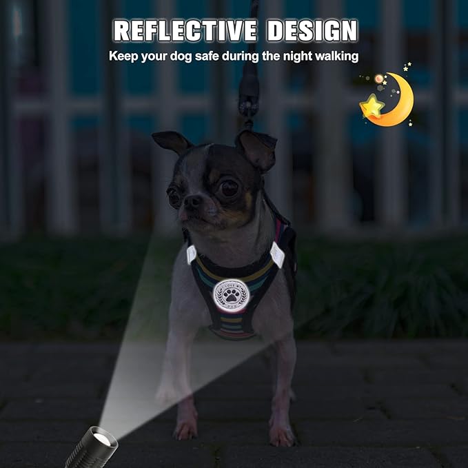 BEAUTYZOO Dog Harness and Leash Set for Small Dogs,No Pull Step-in Harness for Puppy XS S Sized Dogs and Cats,Air Mesh Adjustable Breathable Soft No Choke Escape Proof Vest Harnesses,Striped Teal XXS