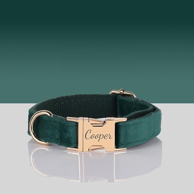 Velvet Harness Set, Gift for Pet Owners, Custom Dog Collar Personalized with Name and Phone Number, Custom Collar and Leash for Dogs, Engraved Metal Buckle Collar (Large)
