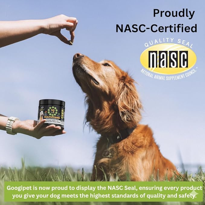 Googipet Premium 10 in 1 Dog Vitamins Multivitamin Chewable with Probiotics for Gut Health, Dog Vitamins and Supplements w/Vitamin C & Glucosamine for Joint Support (Peanut Butter & Pumpkin Flavor)