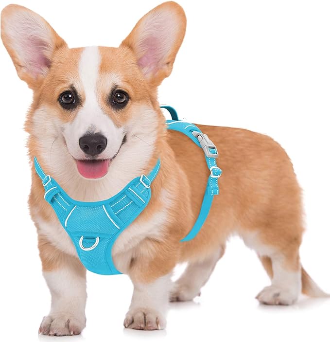 BARKBAY No Pull Dog Harness Large Reflective Dog Harness with Front Clip and Easy Control Handle for Walking Training Running with ID tag Pocket(Blue,M)