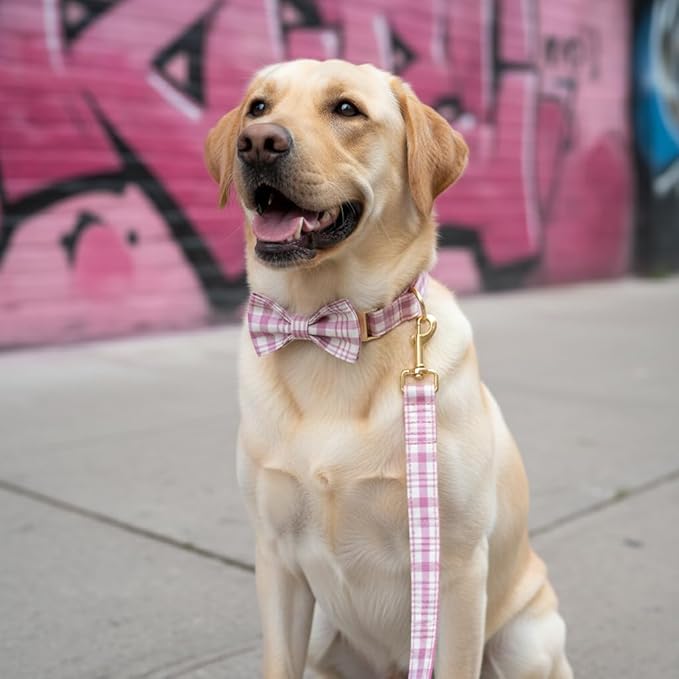 PETDURO Personalized Dog Collar Pink Plaid for Large Medium Dogs | Engraved Name and Phone Number on Gold Metal Buckle for Girls | Add Leash & Bow Tie via Customize Now