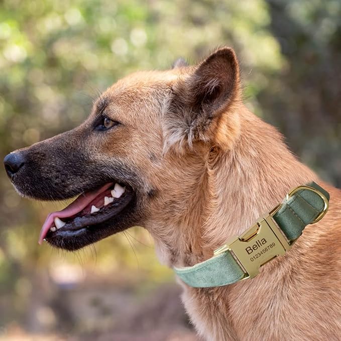 Dog Collar Custom Personalized Engraved Name and Phone Number for Puppy Small Medium Large Pets (M, Fruit Green)