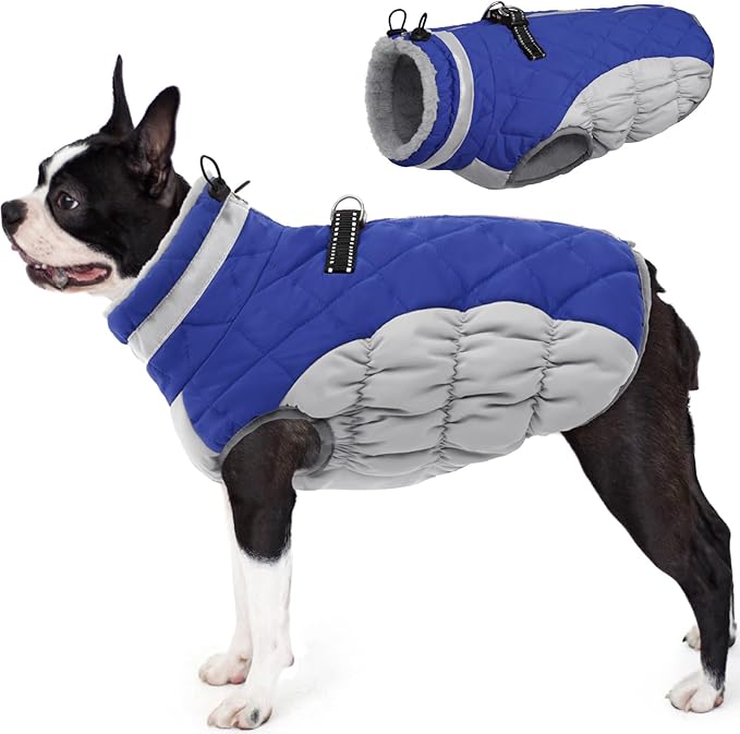 AOFITEE Dog Coat, Warm Dog Winter Coat for Small Dogs, Reflective Turtleneck Dogs Jacket with Harness Built in, Waterproof Windproof Pet Fleece Vest Snow Jacket for Cold Weather, Blue S