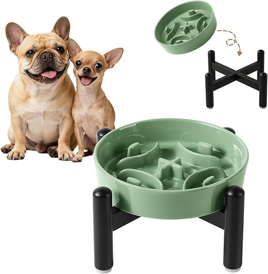 Elevated Slow Feeder Dog Bowl - Ceramic Maze Dog Food Bowl with Stainless Stand - Raised Slow Feeder for Small Breeds to Control Eating Speed - 6.3 Inch - 0.8 Cups (80g) - Green