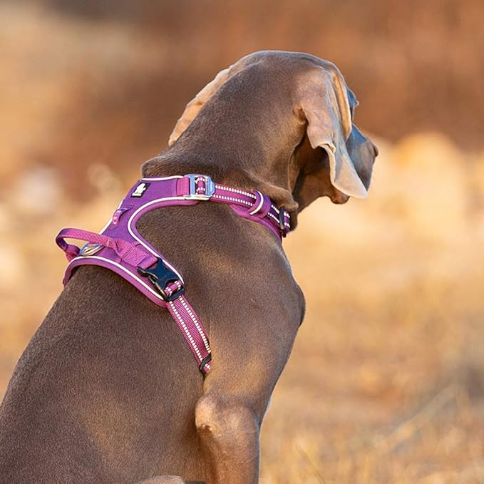 TRUE LOVE Dog Harness No Pull Nylon Reflective Pet Harness Adjustable Comfortable Control Step-in Brilliant Colors Truelove TLH56512 XL