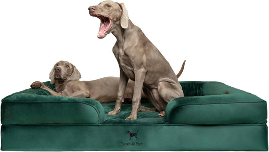 NOAH & PAW Giant Dog Bed XXL, 55x45x11 Inch, Orthopedic Dog Beds, Eggshell Memory Foam Infused with Cooling Gel, Inner Cover, Waterproof, Machine Washable (Velvet Sofa Collection)