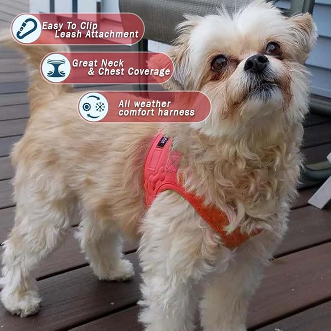 Comfort Fit All Weather Dog Harness No Pull Soft Padded Extra Comfort Step in Dog Harness with Adjustable Buckles Easy Control Vest Harness for Small Medium Large Dogs Inside Velvet Plush