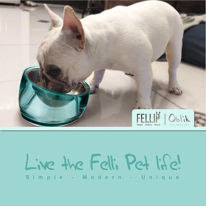 Felli Oblik Raised Dog Food Water Bowls for Small Short-Leg Dogs, Removable Stainless Steel Dish Dishwasher Safe, No Spill Tilted Metal Feeder for French Bulldog, Maine Coon Cats (1.5Cup, Classic)