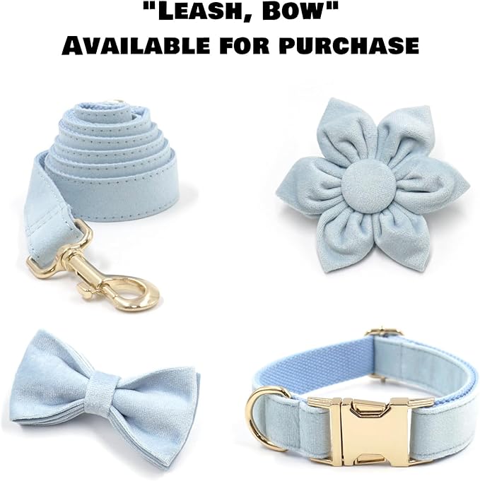 Velvet Personalized Dog Collar with Name - Customizable Dog Collar with Quick Release Metal Buckle - Leash and Bow Tie Available (Light Blue, XL)