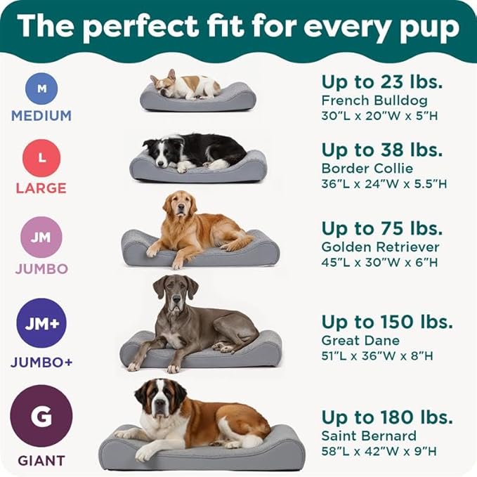 FurHaven Orthopedic Dog Bed for Large Dogs, Luxe Lounger Contour Mattress with Solid Orthopedic Foam Slab for Joint Support, Removable Washable Cover - Jumbo Plus XXL, Plush Suede, Cream