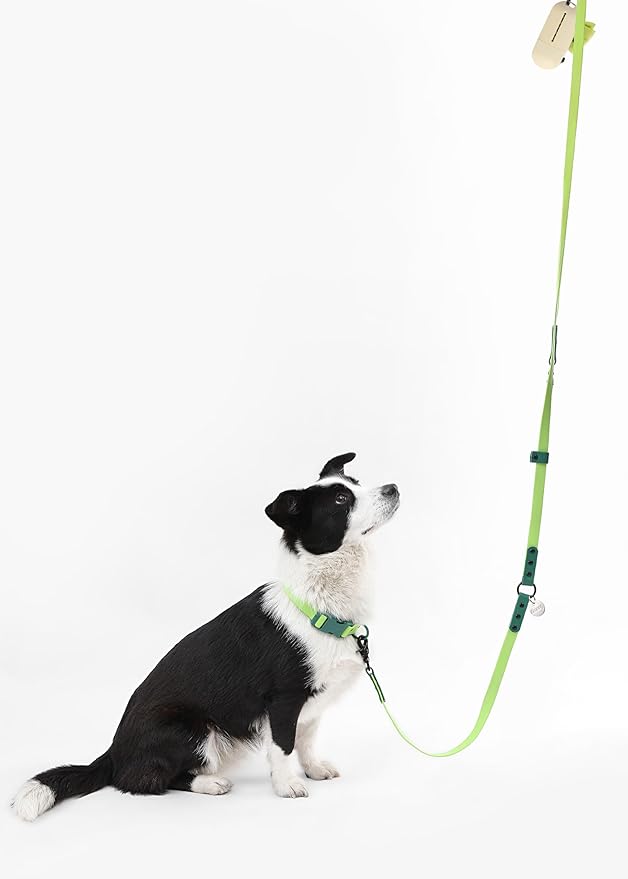WLK1006B-5SET Luna Large 8FT Adjustable 6-in-1 Waterproof Hands-Free Leash and Collar with LED Flashlight, Bag Dispenser, and Poop Bag Holder, Mojito