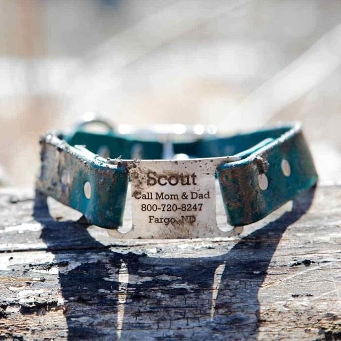 dogIDs Personalized Dog Collar – ScruffTag Custom Waterproof Biothane Dog Collar with Laser-Engraved Name, Durable & Odor-Resistant – USA Made | Purple, 1 in x 18 in (Fits Neck Sizes 16-20 in)