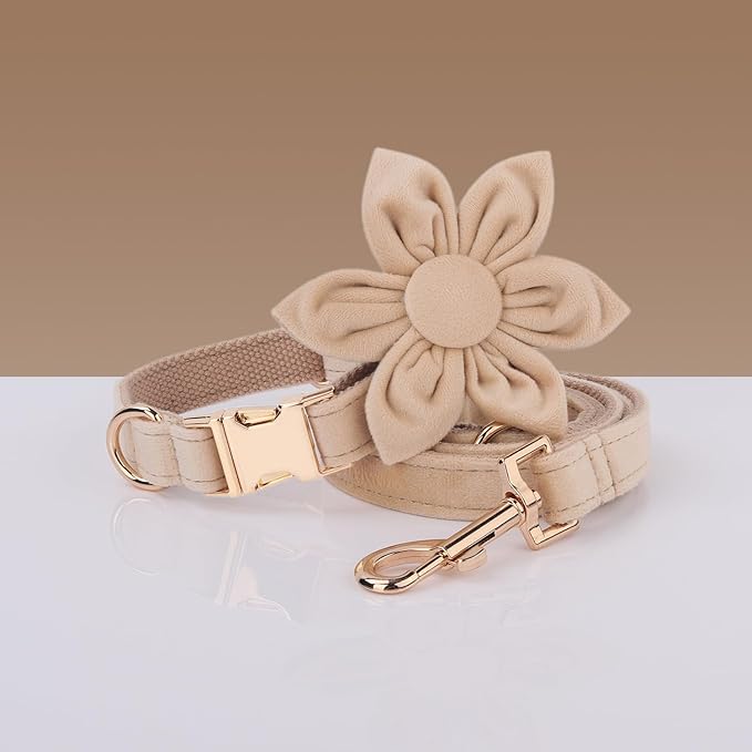 Velvet Personalized Dog Collar with Name - Customizable Dog Collar with Quick Release Metal Buckle - Leash and Bow Tie Available (Beige, XL)