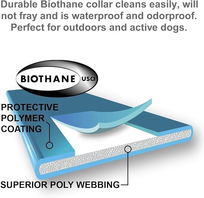 Educator EZ 1/2 Mile Dog Training Collar with Ergonomic Remote, Safe Humane Vibration Stimulation, Pavlovian Tone, Waterproof, Odorproof Biothane Collar, Night Light, Rechargeable, 4 Dog, Yellow