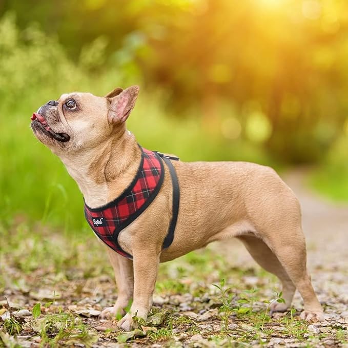 PUPTECK Soft Mesh Dog Harness and Leash Set Pet Puppy Cat Comfort Padded Vest No Pull Harnesses, Red&Black, XS