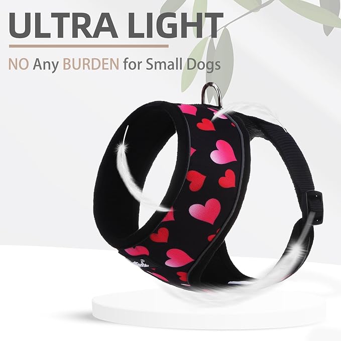 PUPTECK Soft Mesh Dog Harness and Leash Set Pet Puppy Cat Comfort Padded Vest No Pull Harnesses Valentine, Black&Pink, S