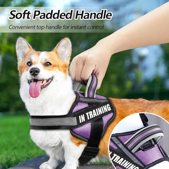 Dog Vest Harness and Patches Set, Animire in Training Service Dog Harness with 10 Dog Patches, Reflective Dog Vest with Handle for Small, Medium, Large, and Extra-Large Dogs