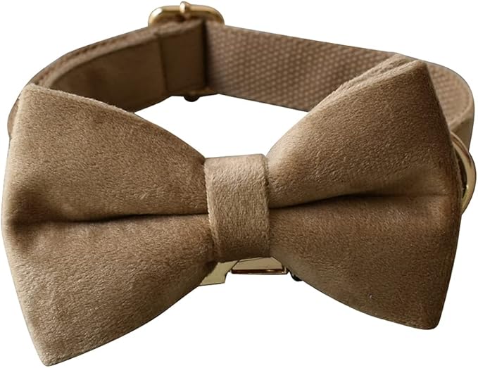 Dog Collar Custom Personalized Engraved Name and Phone Number for Puppy Small Medium Large Pets (S, Khaki)