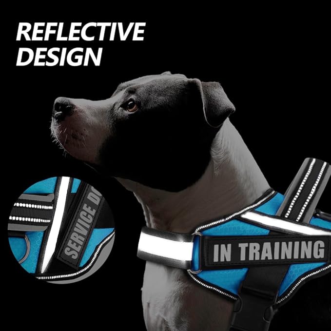 Dog Vest Harness and Patches Set, Animire in Training Service Dog Harness with 10 Dog Patches, Reflective Dog Vest with Handle for Small, Medium, Large, and Extra-Large Dogs