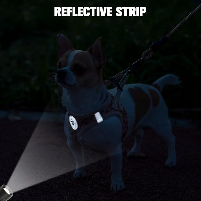 BEAUTYZOO Step in Dog Harness and Leash Set,Floral Pattern Reflective Dog Harness No Pull No Choke Puppy Harness for Small Medium Large Dogs Cats,Soft Padded Mesh Vest Harnesses for Girl and Boy Pets