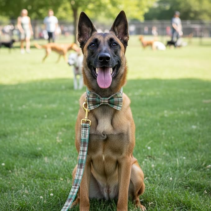 PETDURO Personalized Dog Collar Teal Brown Plaid for Large Medium Dogs | Engraved Name and Phone Number on Gold Metal Buckle for Boys & Girls | Add Leash & Bow Tie via Customize Now