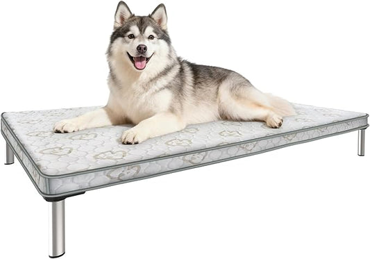 FXW TitanNest Chew-Proof Elevated Dog Bed, Raised Cot for Indoor/Outdoor/Camping Use, Durable & Washable Padded Pet Bed with Exclusive Cover for Medium Dogs, 41.0" L x 27.0" W x 5.0" H, Gray
