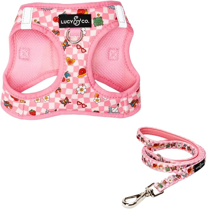 Lucy & Co. Cutie Patootie Step-in Cat Harness & Leash Bundle – Reflective, Breathable & Adjustable Harness for Cats, Kittens & Small Dogs, Lightweight & Secure and Dual Leash Clips – Large