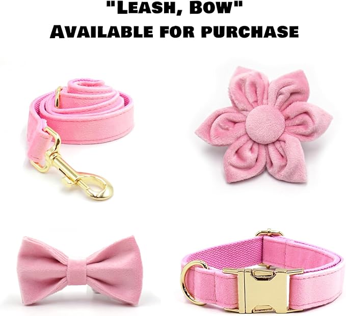 Velvet Personalized Dog Collar with Name - Customizable Dog Collar with Quick Release Metal Buckle - Leash and Bow Tie Available (Pink, L)