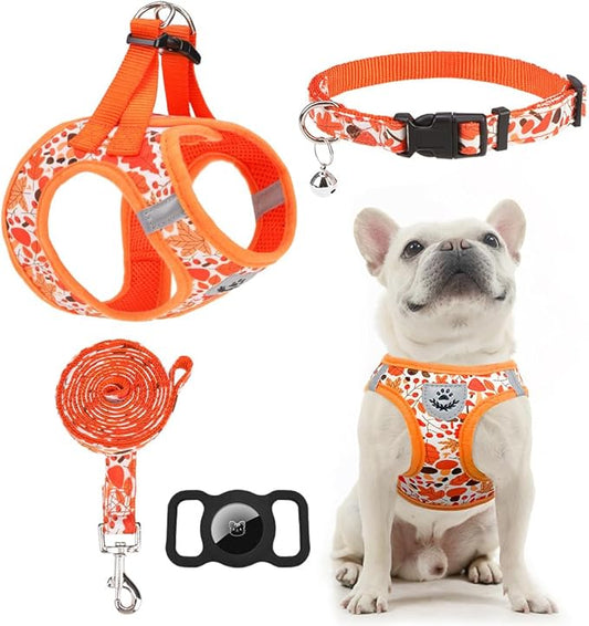 EXPAWLORER Thanksgiving Autumn Puppy Harness - Dog Collar and Leash - Soft Mesh Padded Adjustable Step in Small Dog Vest Harness No Pull, Reflective Escape Proof for Outdoor Walking, Orange M