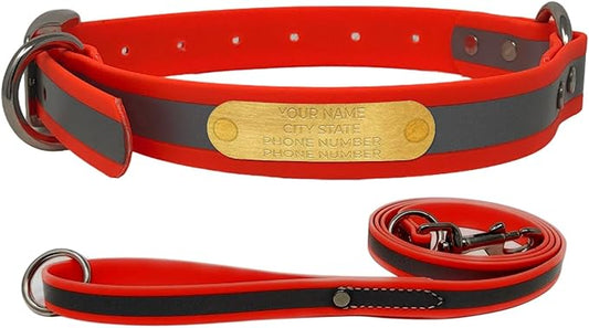Regal Dog Products Large Orange with Custom Engraved Reflective Dog Collar and Leash Set | Waterproof Dog Collar with D Ring | Center Ring & 5'ft Leash | Matching Dog Collar and Leash for Dogs
