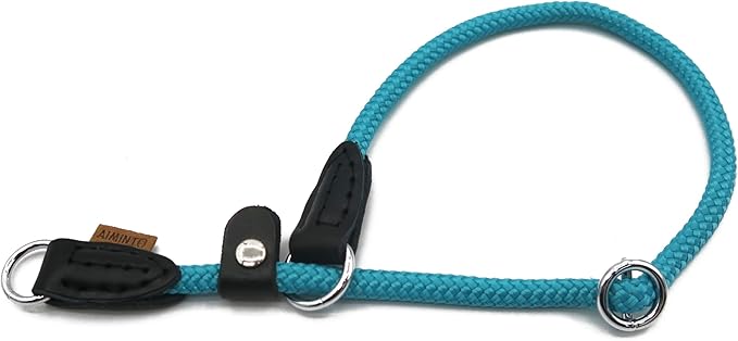 Braided Round Martingale Dog Collar, Training Collar with Slidable Stop Ring and Adjustable Stopper - Ideal for Small Dogs (S(1/4") - 14" Long, Light Blue)